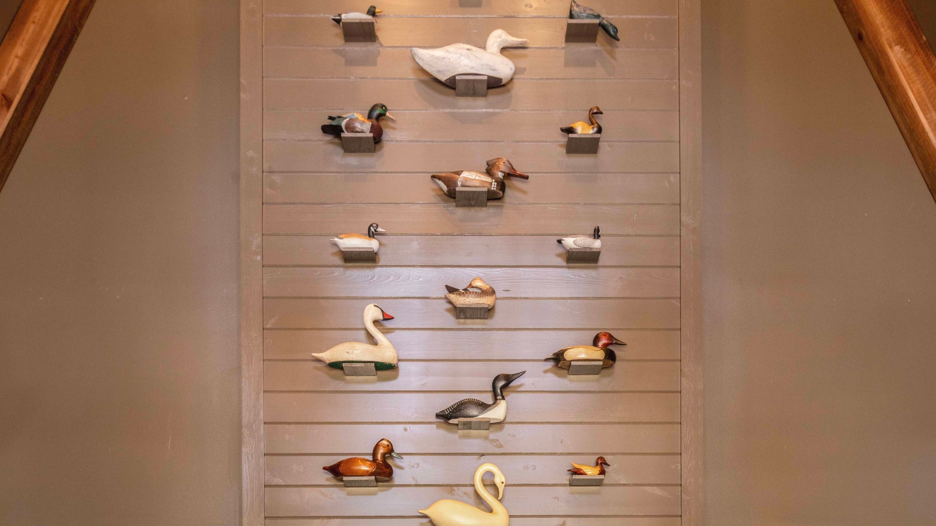 a wall of duck decoys