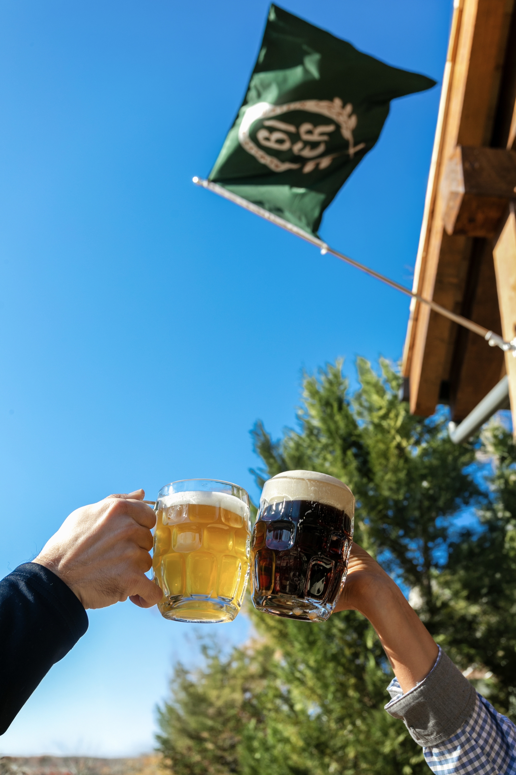Biergarten beer steins