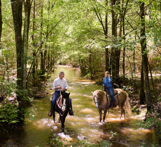 A man and woman ride horses through a stream in the forest.