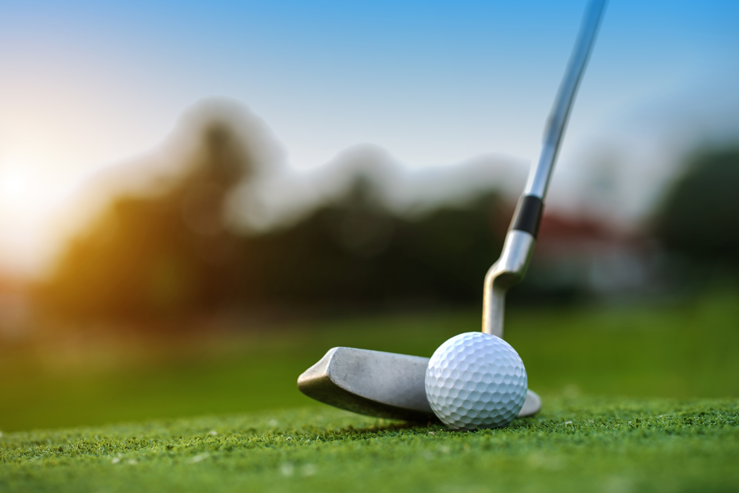 A golf put and golf ball on green