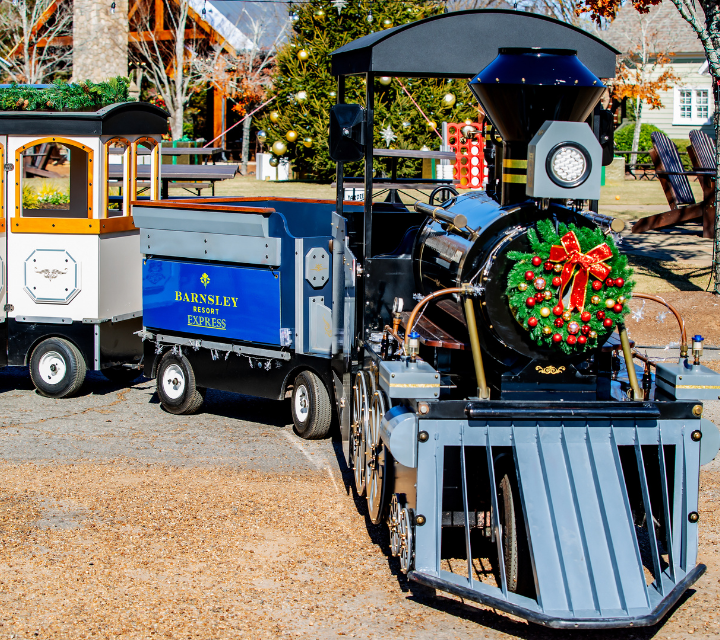 train in a resort village