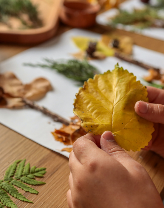 hands holding a yellow leaf and plants on table in background