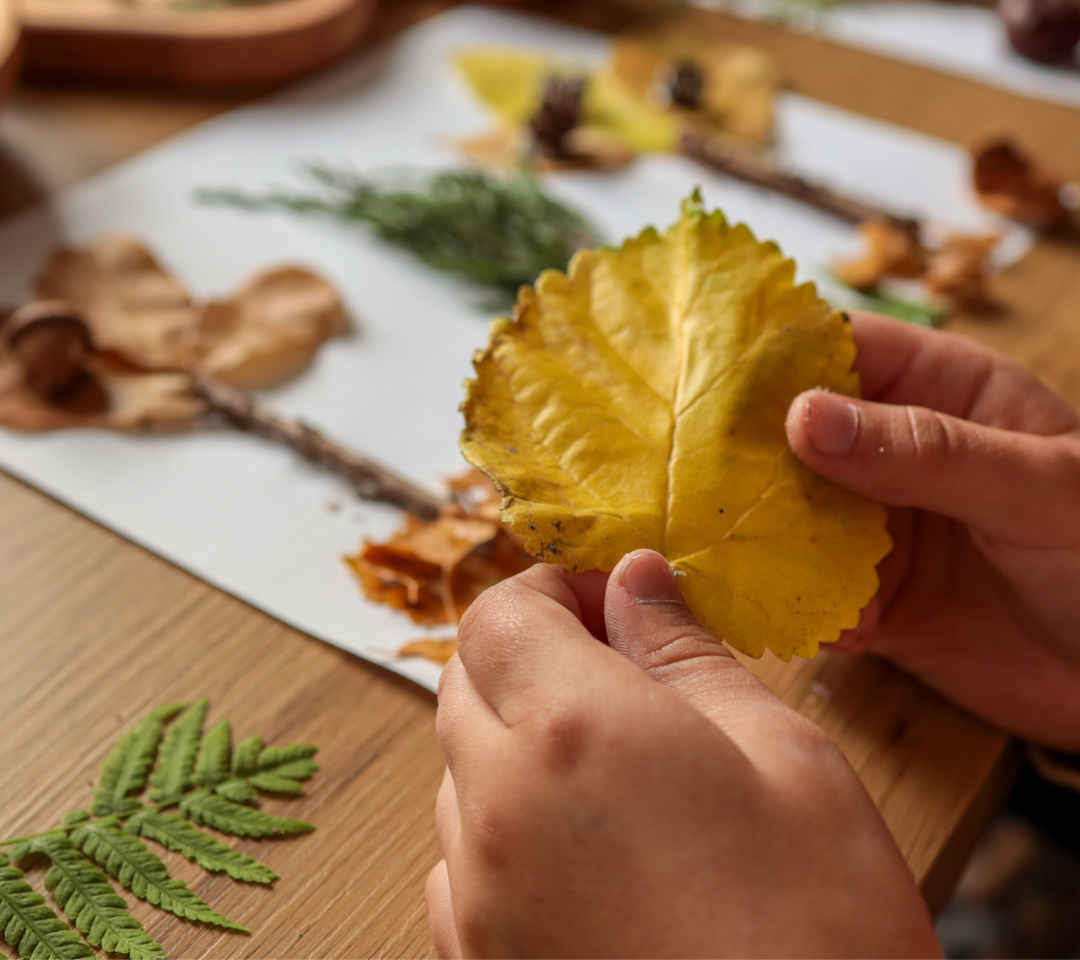 hands holding a yellow leaf and plants on table in background