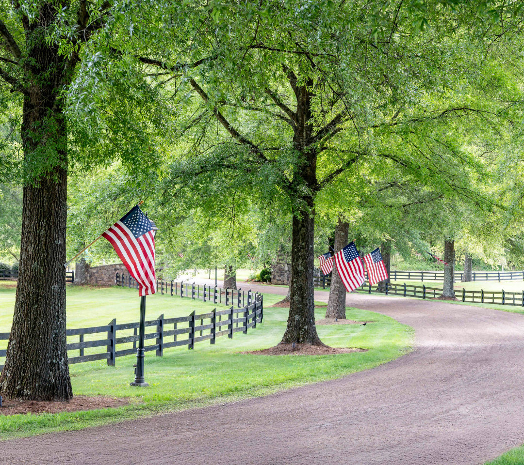 A road lined with trees that have American flags hanging off them on poles