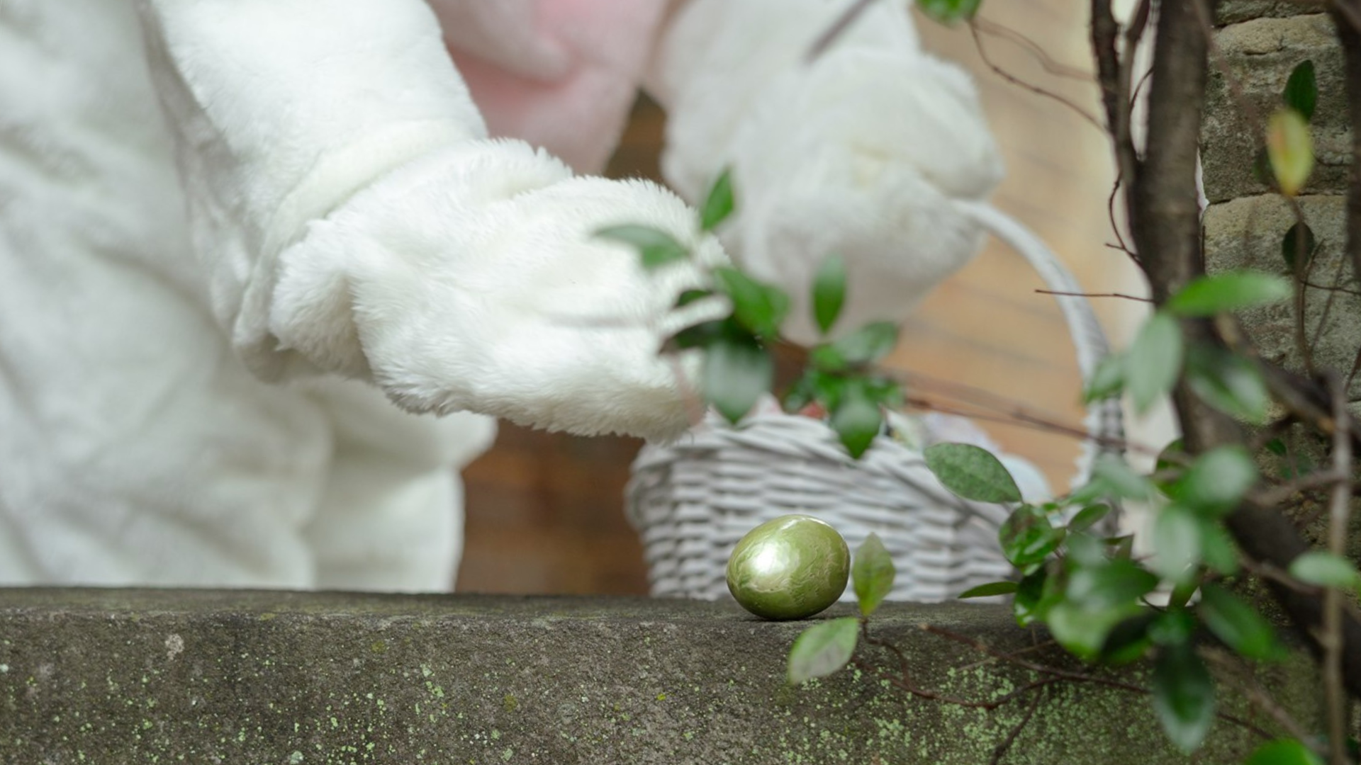 an easter bunny placing an easter egg on a stone ledge with vines on it