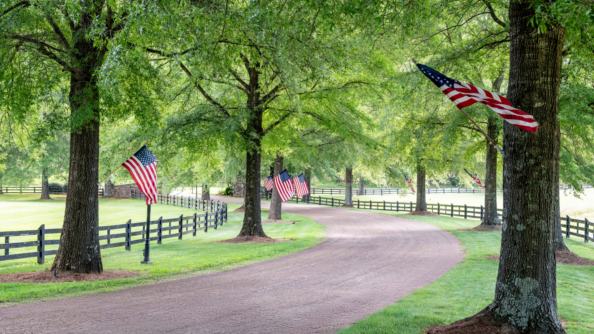 A road lined with trees that have American flags hanging off them on poles