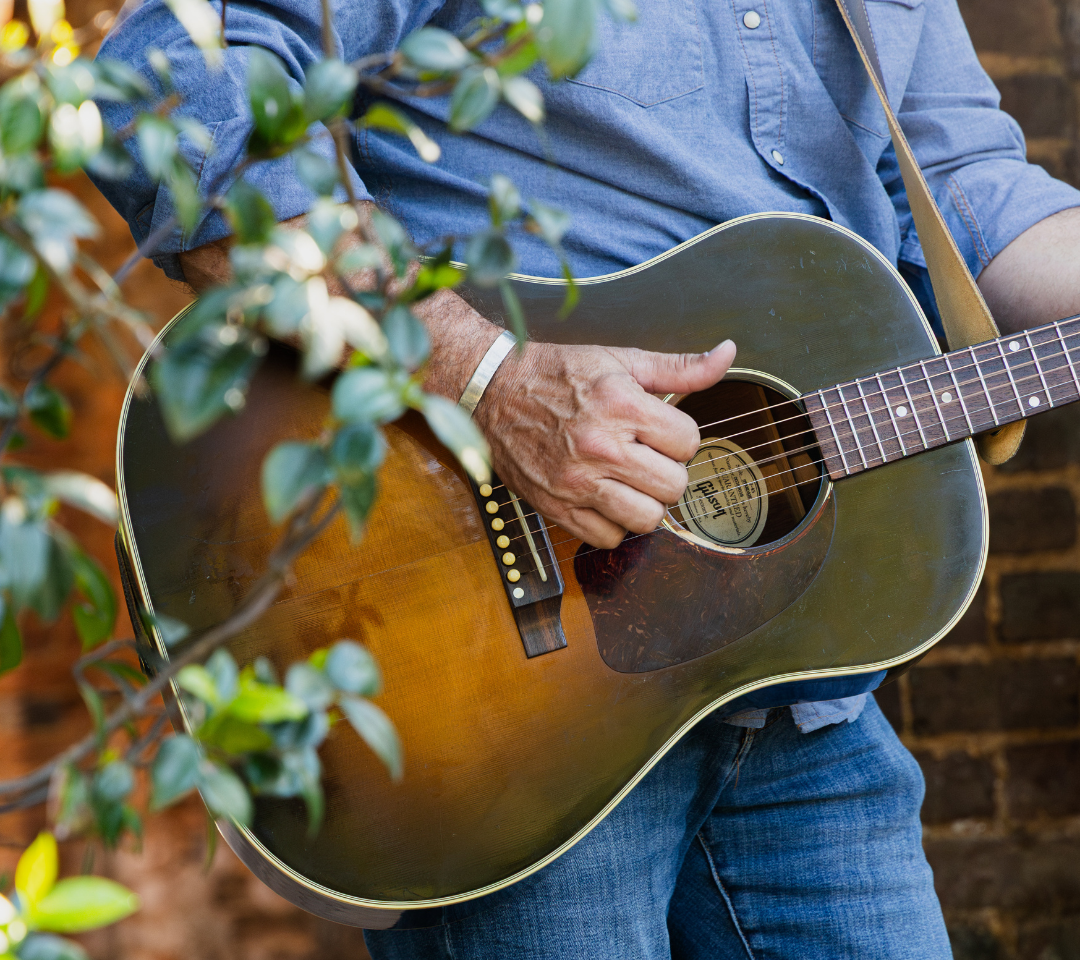 a man playing a guitar. plant vines in foreground.