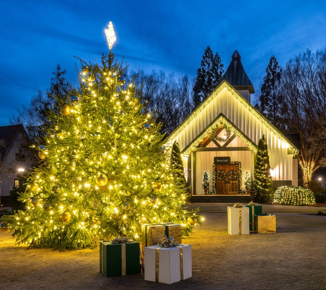 a christmas tree in front of a white building with lights