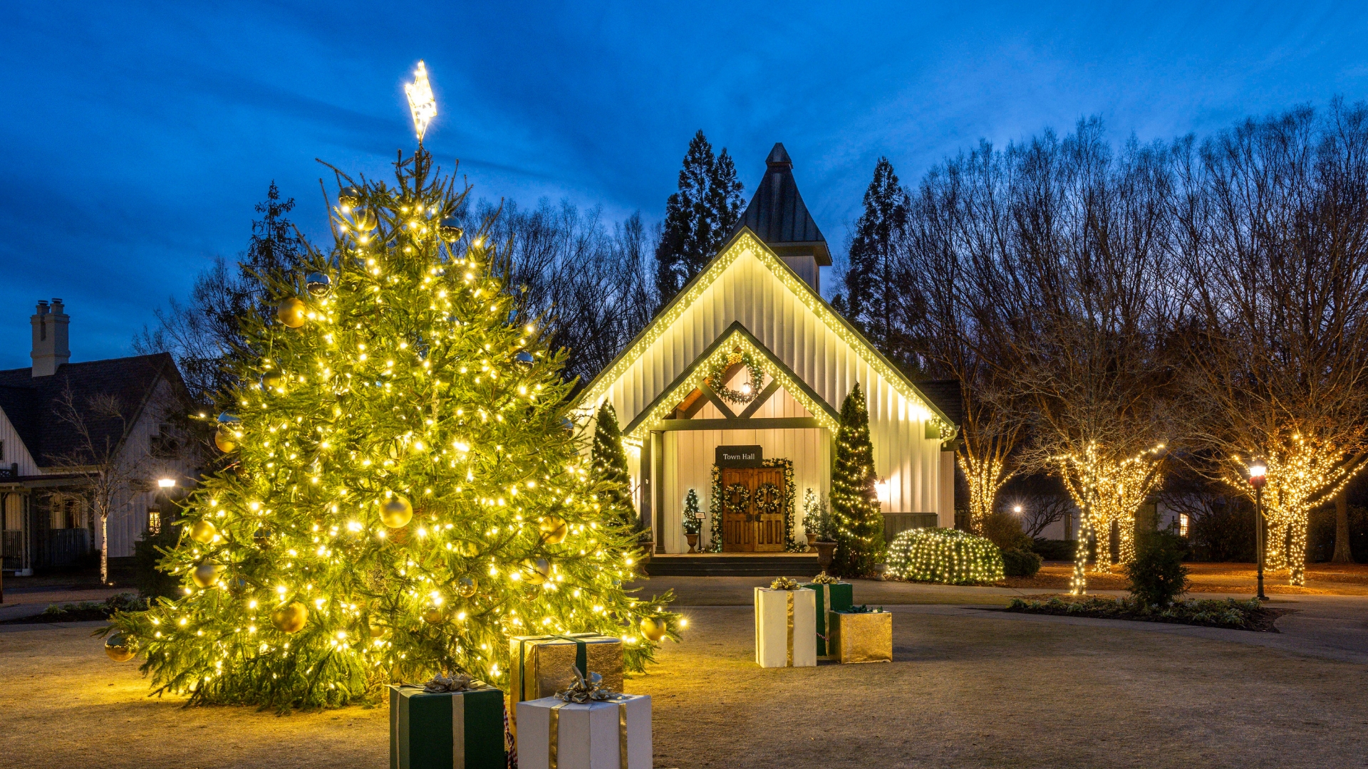 a christmas tree in front of a white building with lights