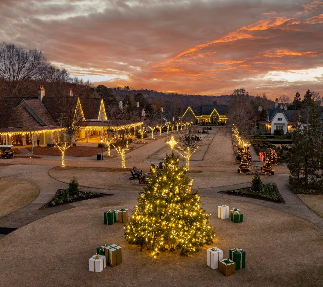 a christmas tree in the middle of a lawn, surrounded by a row of houses