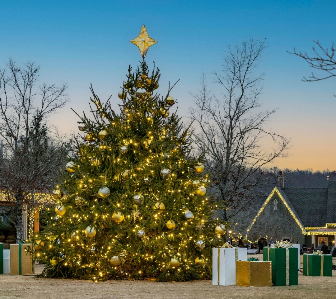 a Christmas tree with lights