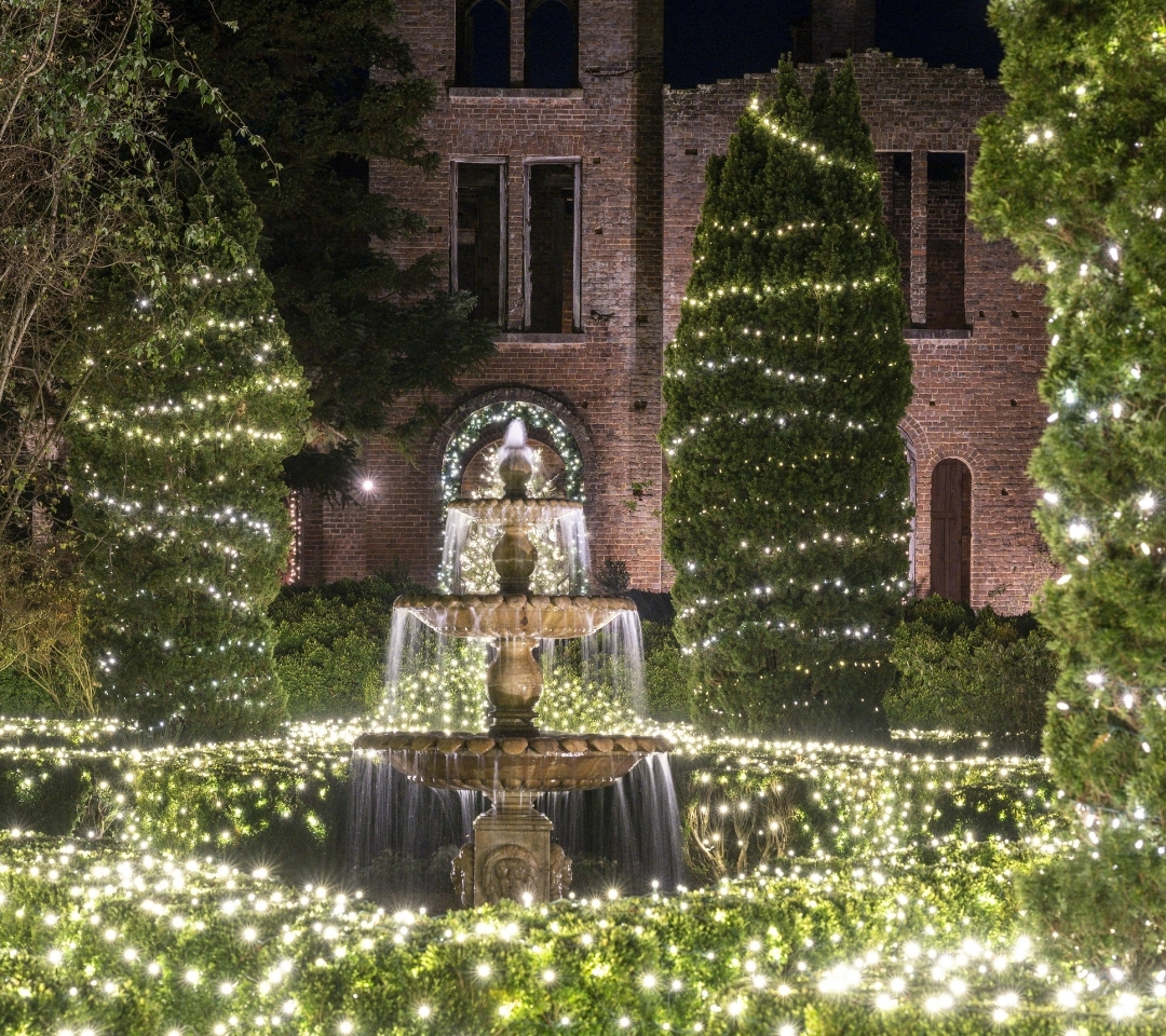 a fountain surrounded by bushes with lights on them