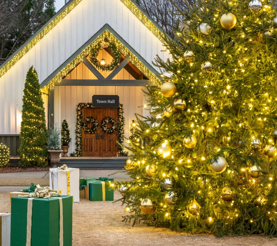a Christmas tree and building with lights