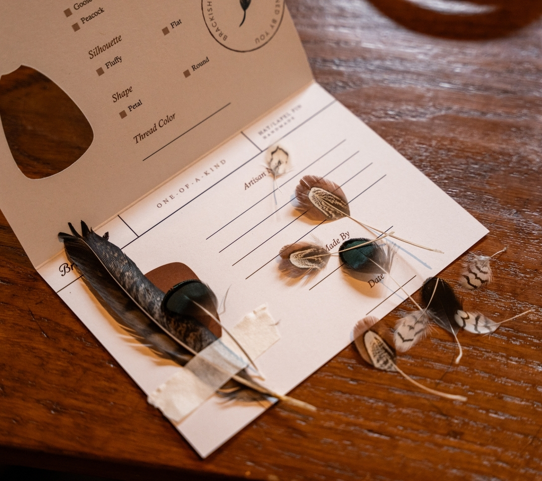 a variety of feathers laid on an open card